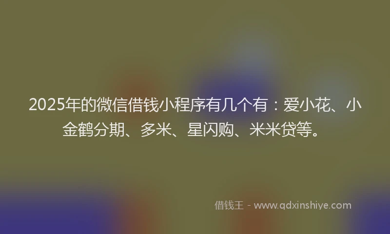 2025年的微信借钱小程序有几个有:爱小花、小金鹤分期、多米、星闪购、米米贷等。