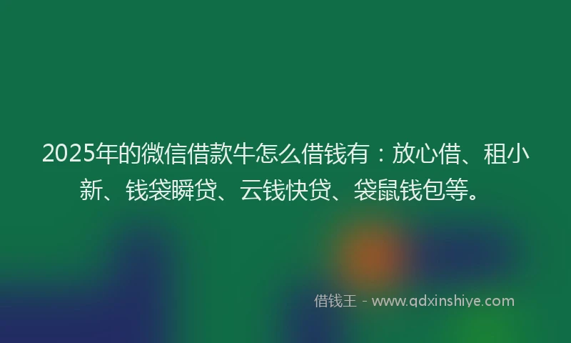 2025年的微信借款牛怎么借钱有：放心借、租小新、钱袋瞬贷、云钱快贷、袋鼠钱包等。