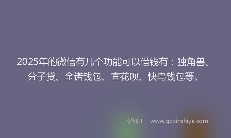 2025年的微信有几个功能可以借钱有：独角兽、分子贷、金诺钱包、宜花呗、快鸟钱包等。