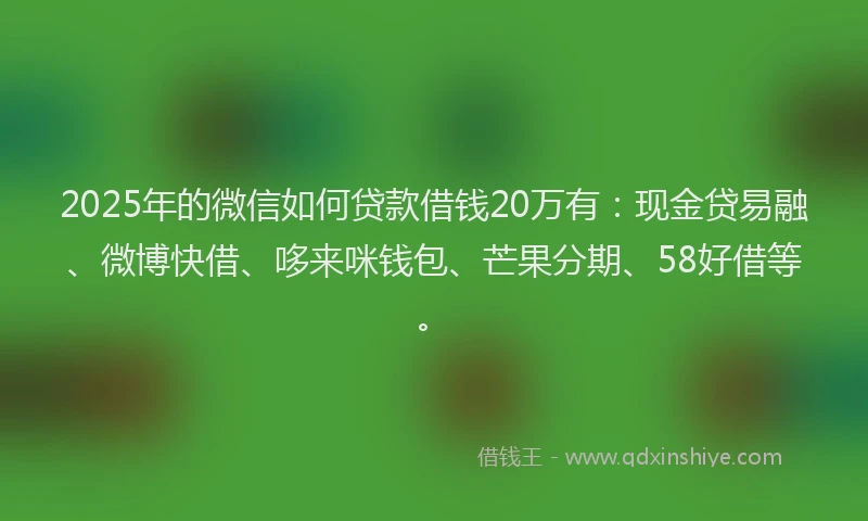 2025年的微信如何贷款借钱20万有：现金贷易融、微博快借、哆来咪钱包、芒果分期、58好借等。