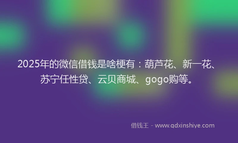 2025年的微信借钱是啥梗有：葫芦花、新一花、苏宁任性贷、云贝商城、gogo购等。