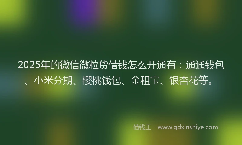 2025年的微信微粒货借钱怎么开通有：通通钱包、小米分期、樱桃钱包、金租宝、银杏花等。