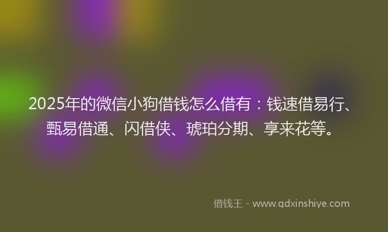 2025年的微信小狗借钱怎么借有：钱速借易行、甄易借通、闪借侠、琥珀分期、享来花等。