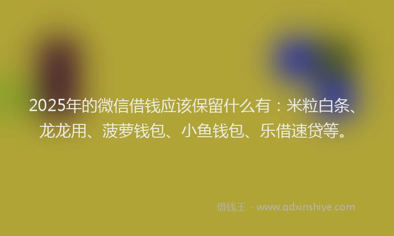 2025年的微信借钱应该保留什么有：米粒白条、龙龙用、菠萝钱包、小鱼钱包、乐借速贷等。