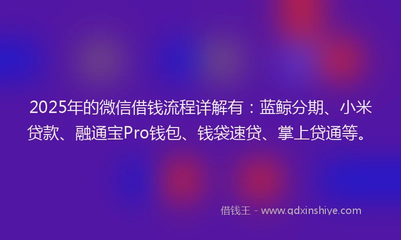 2025年的微信借钱流程详解有：蓝鲸分期、小米贷款、融通宝Pro钱包、钱袋速贷、掌上贷通等。