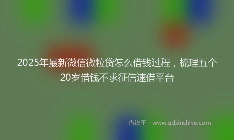 2025年最新微信微粒贷怎么借钱过程，梳理五个20岁借钱不求征信速借平台