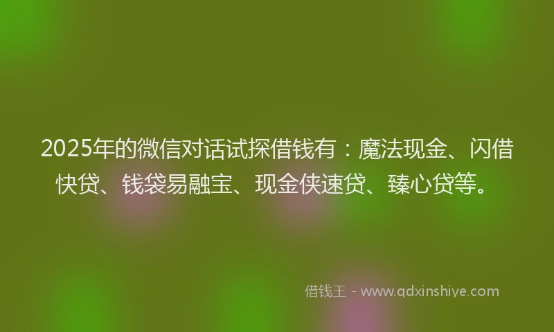2025年的微信对话试探借钱有：魔法现金、闪借快贷、钱袋易融宝、现金侠速贷、臻心贷等。