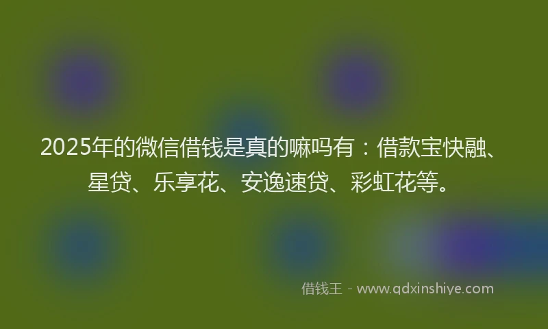 2025年的微信借钱是真的嘛吗有：借款宝快融、星贷、乐享花、安逸速贷、彩虹花等。