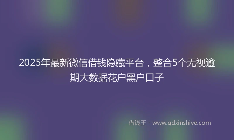 2025年最新微信借钱隐藏平台，整合5个无视逾期大数据花户黑户口子