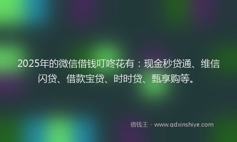 2025年的微信借钱叮咚花有：现金秒贷通、维信闪贷、借款宝贷、时时贷、甄享购等。