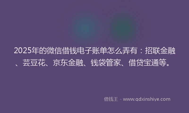 2025年的微信借钱电子账单怎么弄有：招联金融、芸豆花、京东金融、钱袋管家、借贷宝通等。