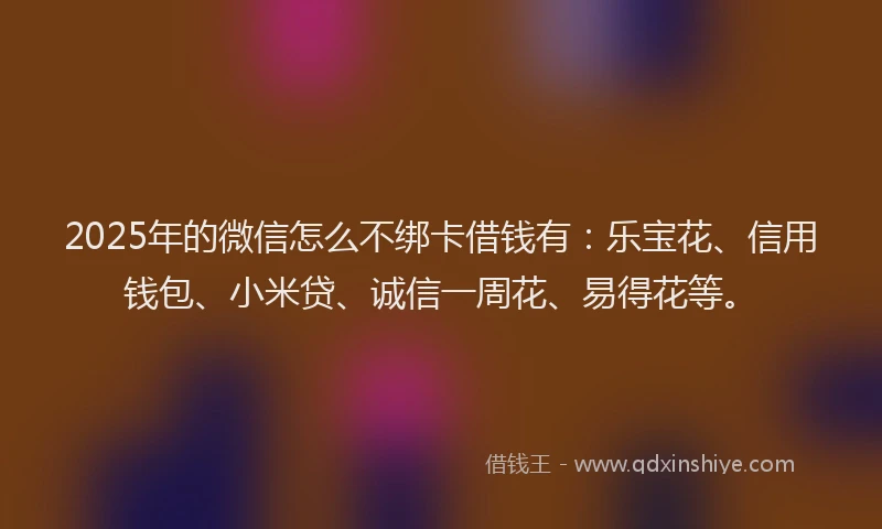 2025年的微信怎么不绑卡借钱有：乐宝花、信用钱包、小米贷、诚信一周花、易得花等。