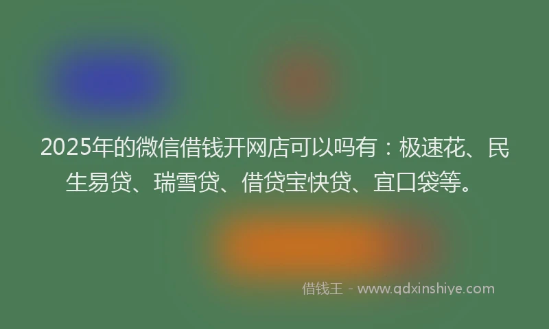 2025年的微信借钱开网店可以吗有：极速花、民生易贷、瑞雪贷、借贷宝快贷、宜口袋等。