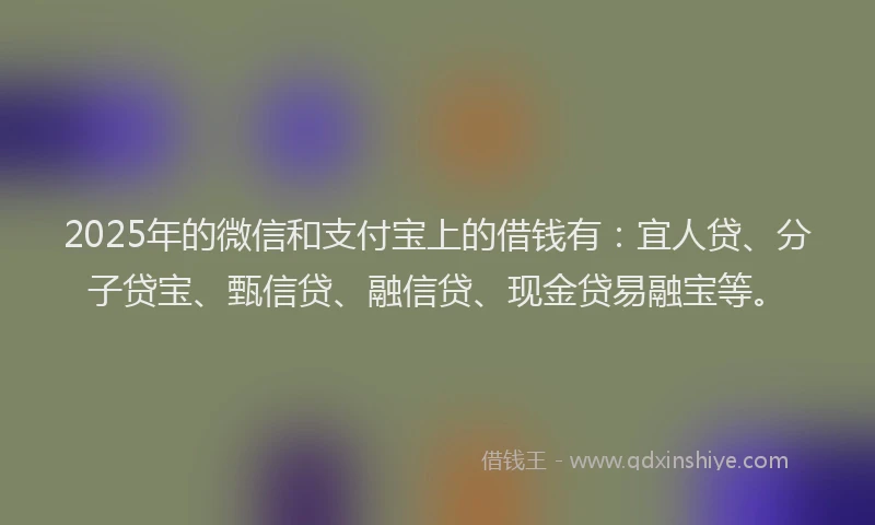 2025年的微信和支付宝上的借钱有：宜人贷、分子贷宝、甄信贷、融信贷、现金贷易融宝等。
