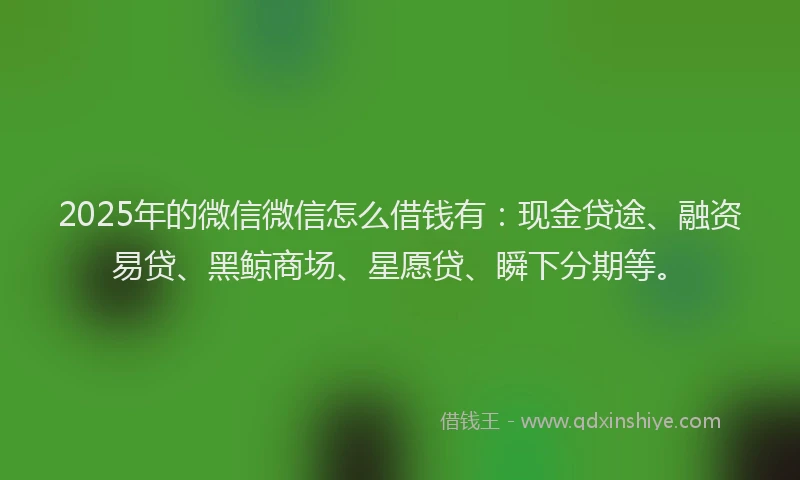 2025年的微信微信怎么借钱有：现金贷途、融资易贷、黑鲸商场、星愿贷、瞬下分期等。