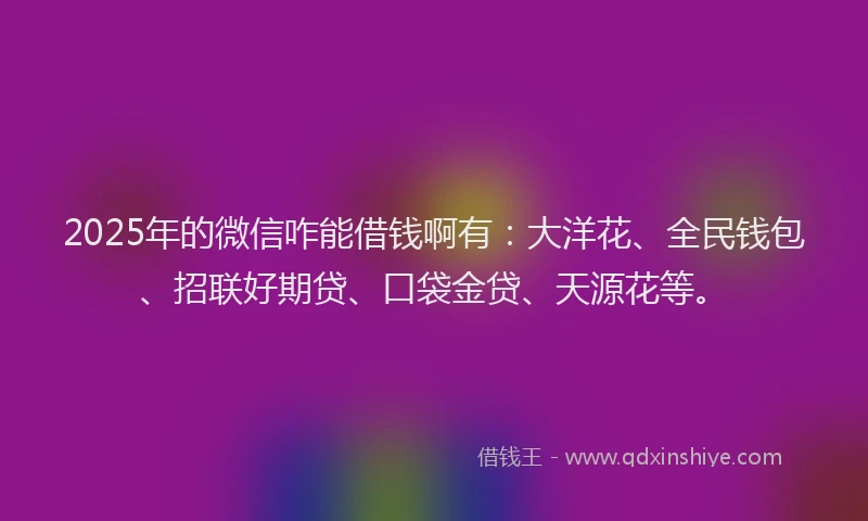 2025年的微信咋能借钱啊有：大洋花、全民钱包、招联好期贷、口袋金贷、天源花等。