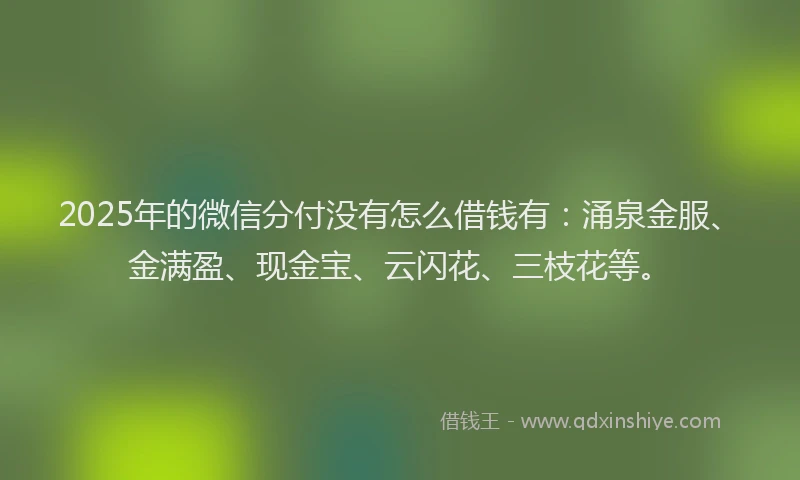 2025年的微信分付没有怎么借钱有：涌泉金服、金满盈、现金宝、云闪花、三枝花等。