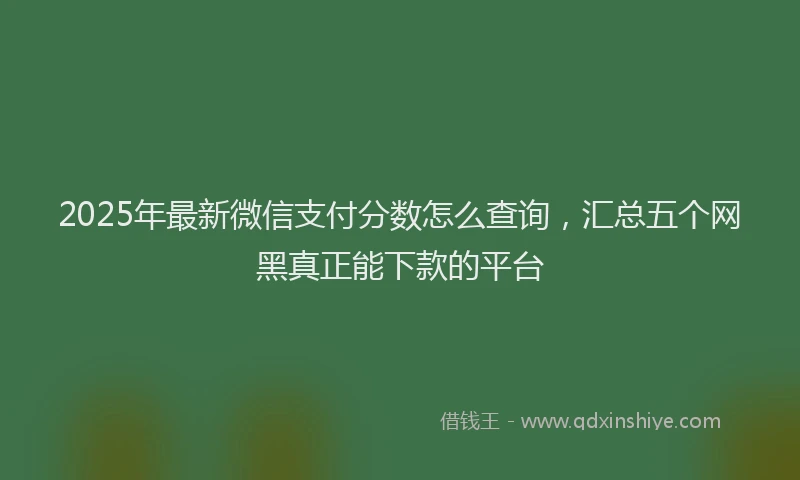 2025年最新微信支付分数怎么查询，汇总五个网黑真正能下款的平台