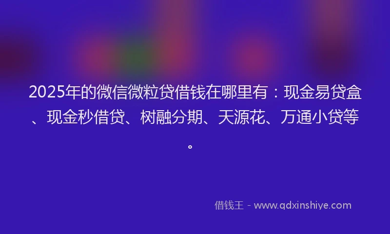 2025年的微信微粒贷借钱在哪里有：现金易贷盒、现金秒借贷、树融分期、天源花、万通小贷等。
