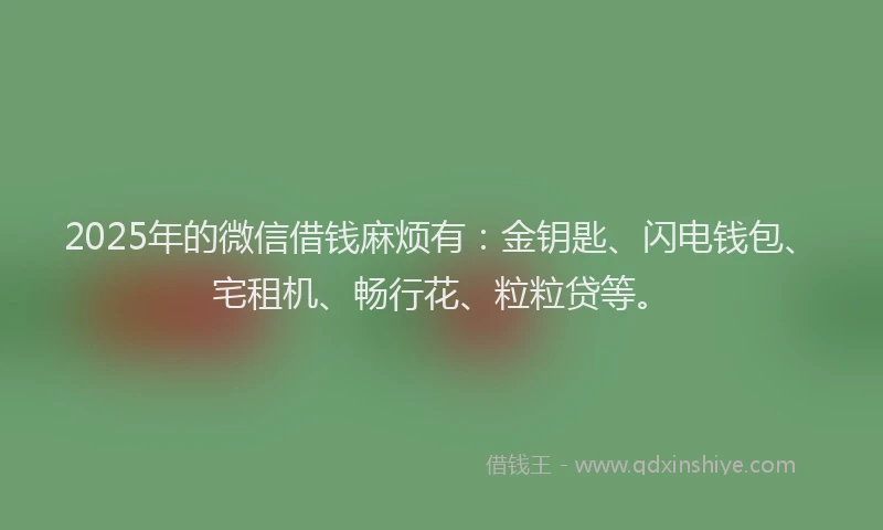2025年的微信借钱麻烦有：金钥匙、闪电钱包、宅租机、畅行花、粒粒贷等。