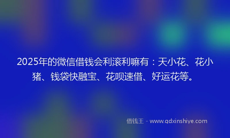 2025年的微信借钱会利滚利嘛有：天小花、花小猪、钱袋快融宝、花呗速借、好运花等。