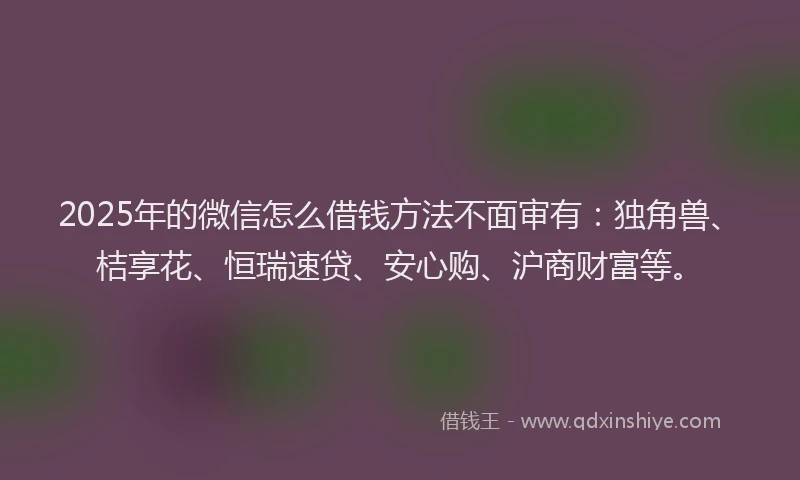 2025年的微信怎么借钱方法不面审有：独角兽、桔享花、恒瑞速贷、安心购、沪商财富等。