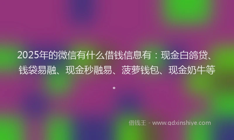 2025年的微信有什么借钱信息有：现金白鸽贷、钱袋易融、现金秒融易、菠萝钱包、现金奶牛等。