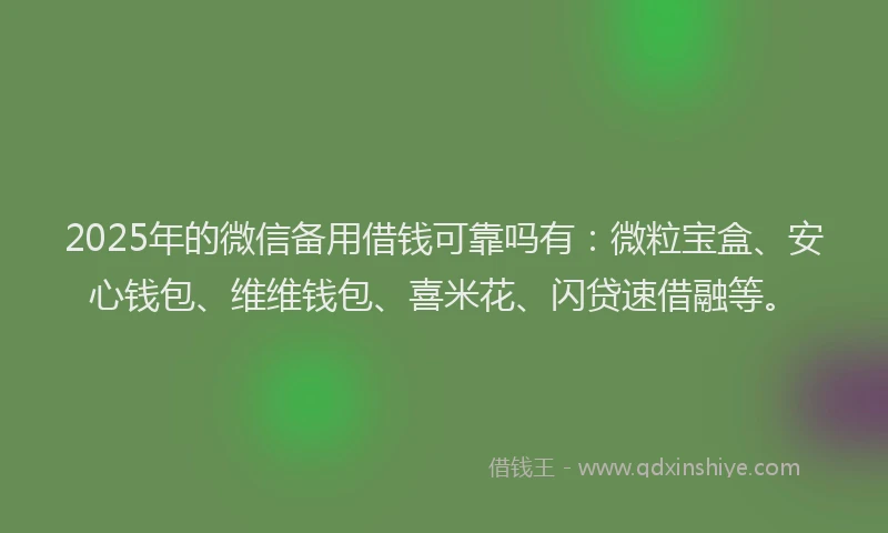 2025年的微信备用借钱可靠吗有：微粒宝盒、安心钱包、维维钱包、喜米花、闪贷速借融等。