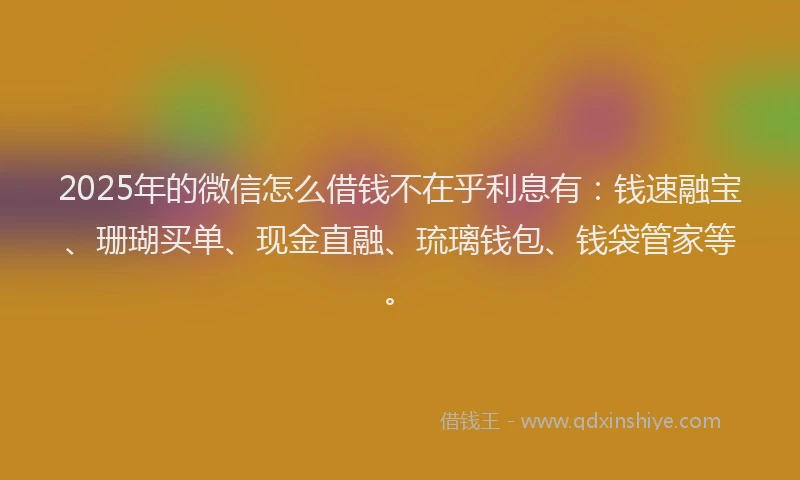 2025年的微信怎么借钱不在乎利息有：钱速融宝、珊瑚买单、现金直融、琉璃钱包、钱袋管家等。