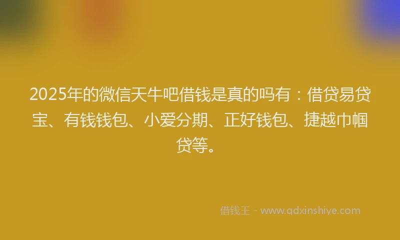 2025年的微信天牛吧借钱是真的吗有：借贷易贷宝、有钱钱包、小爱分期、正好钱包、捷越巾帼贷等。