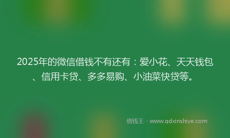 2025年的微信借钱不有还有：爱小花、天天钱包、信用卡贷、多多易购、小油菜快贷等。