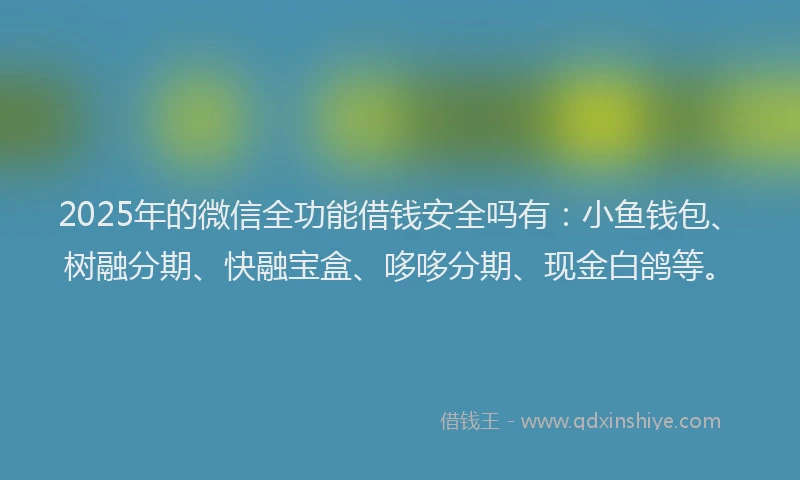 2025年的微信全功能借钱安全吗有：小鱼钱包、树融分期、快融宝盒、哆哆分期、现金白鸽等。