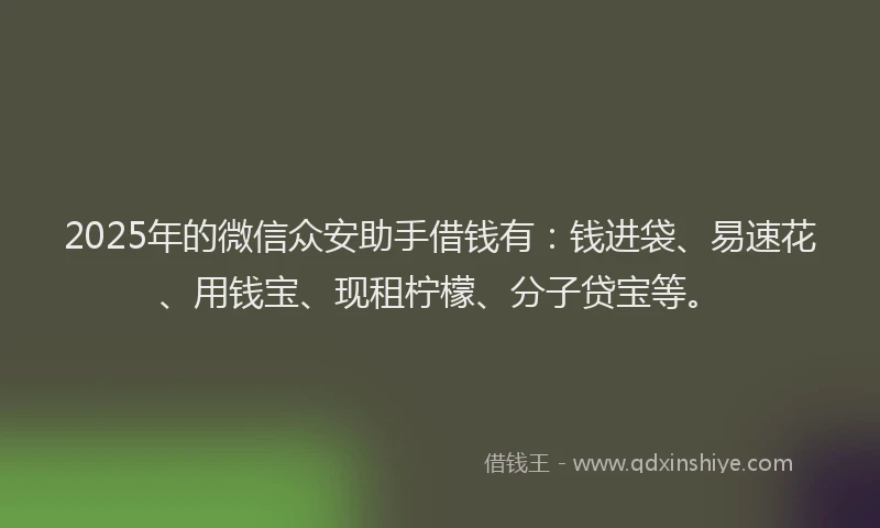 2025年的微信众安助手借钱有：钱进袋、易速花、用钱宝、现租柠檬、分子贷宝等。