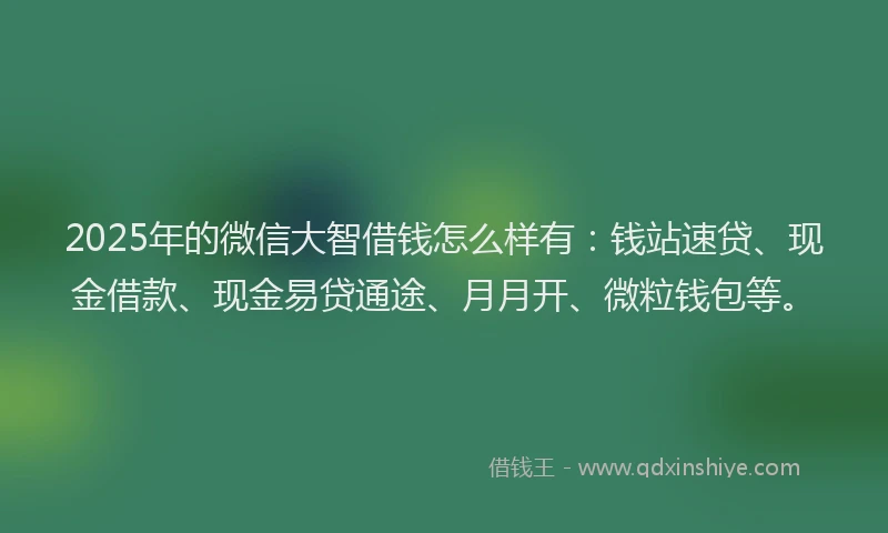 2025年的微信大智借钱怎么样有：钱站速贷、现金借款、现金易贷通途、月月开、微粒钱包等。