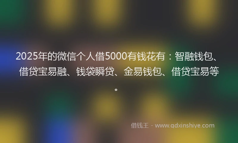 2025年的微信个人借5000有钱花有：智融钱包、借贷宝易融、钱袋瞬贷、金易钱包、借贷宝易等。