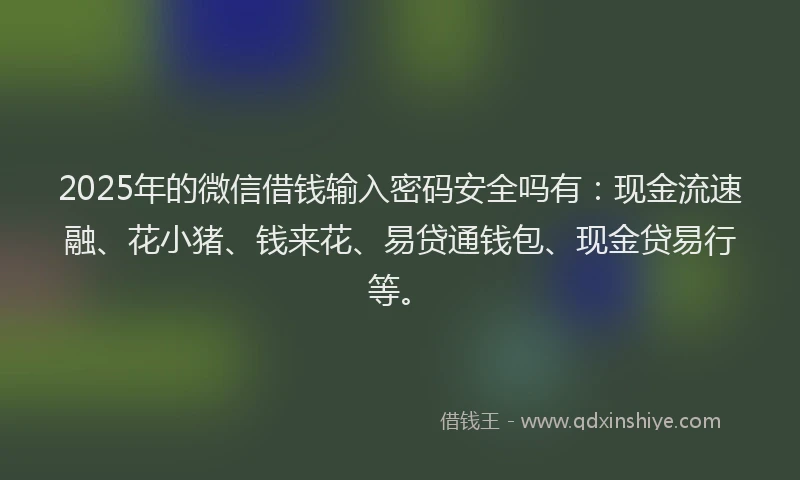 2025年的微信借钱输入密码安全吗有：现金流速融、花小猪、钱来花、易贷通钱包、现金贷易行等。