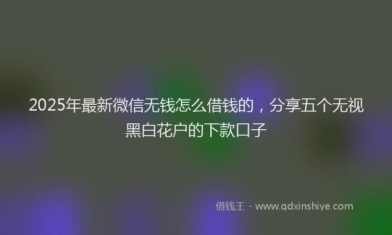 2025年最新微信无钱怎么借钱的，分享五个无视黑白花户的下款口子