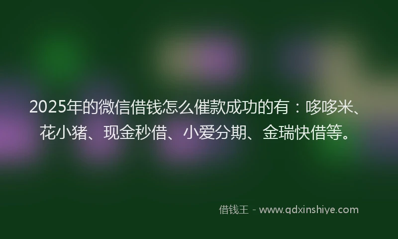 2025年的微信借钱怎么催款成功的有：哆哆米、花小猪、现金秒借、小爱分期、金瑞快借等。