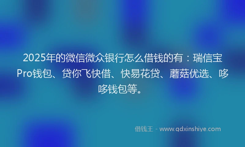 2025年的微信微众银行怎么借钱的有：瑞信宝Pro钱包、贷你飞快借、快易花贷、蘑菇优选、哆哆钱包等。