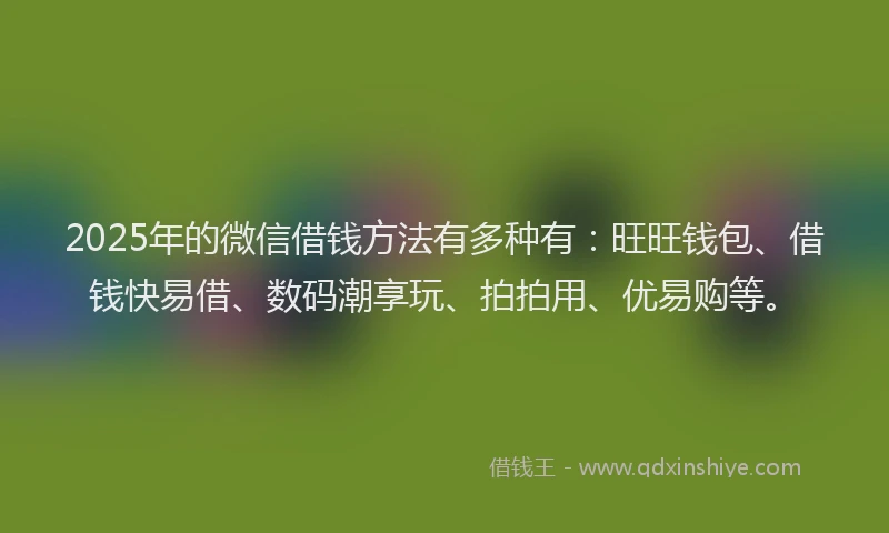2025年的微信借钱方法有多种有：旺旺钱包、借钱快易借、数码潮享玩、拍拍用、优易购等。
