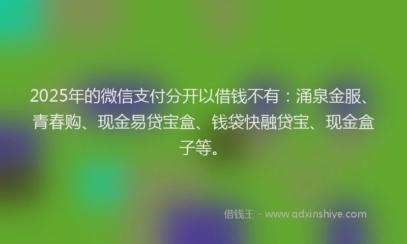 2025年的微信支付分开以借钱不有：涌泉金服、青春购、现金易贷宝盒、钱袋快融贷宝、现金盒子等。