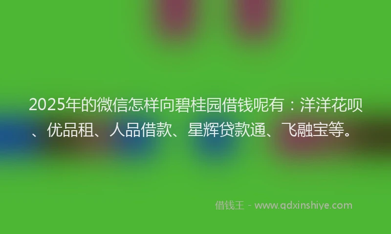 2025年的微信怎样向碧桂园借钱呢有：洋洋花呗、优品租、人品借款、星辉贷款通、飞融宝等。
