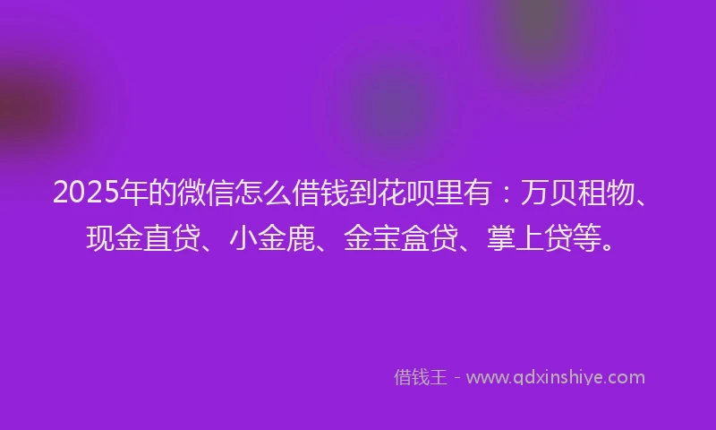 2025年的微信怎么借钱到花呗里有：万贝租物、现金直贷、小金鹿、金宝盒贷、掌上贷等。