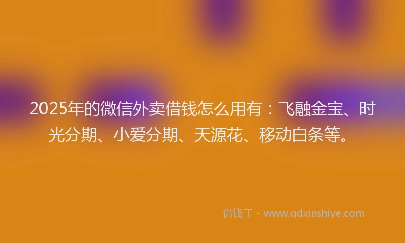 2025年的微信外卖借钱怎么用有：飞融金宝、时光分期、小爱分期、天源花、移动白条等。
