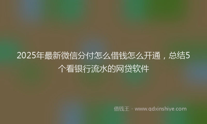 2025年最新微信分付怎么借钱怎么开通，总结5个看银行流水的网贷软件