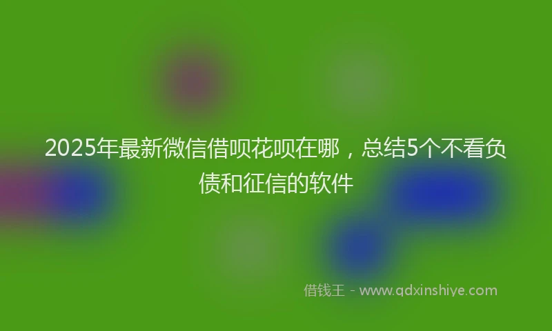 2025年最新微信借呗花呗在哪，总结5个不看负债和征信的软件