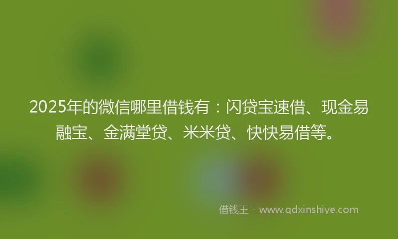 2025年的微信哪里借钱有：闪贷宝速借、现金易融宝、金满堂贷、米米贷、快快易借等。