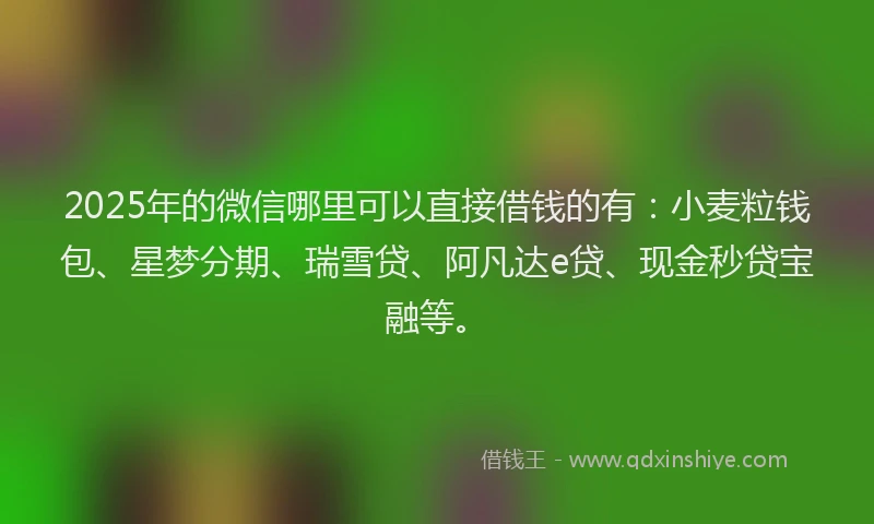2025年的微信哪里可以直接借钱的有：小麦粒钱包、星梦分期、瑞雪贷、阿凡达e贷、现金秒贷宝融等。
