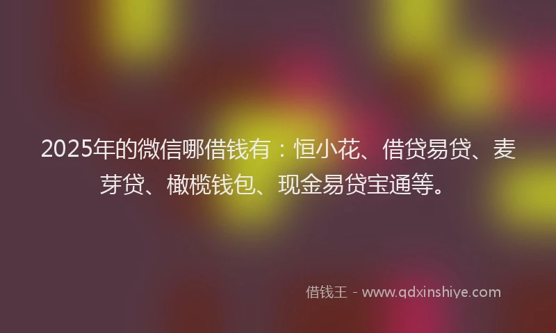 2025年的微信哪借钱有：恒小花、借贷易贷、麦芽贷、橄榄钱包、现金易贷宝通等。