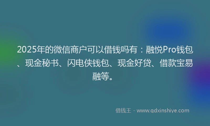 2025年的微信商户可以借钱吗有：融悦Pro钱包、现金秘书、闪电侠钱包、现金好贷、借款宝易融等。